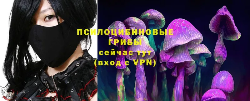 Галлюциногенные грибы Psilocybe  блэк спрут ТОР  Малая Вишера 